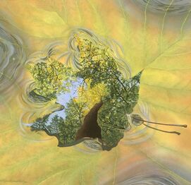 Nature art by studio d'une. Sugar maple as one with a stream in autumn. 